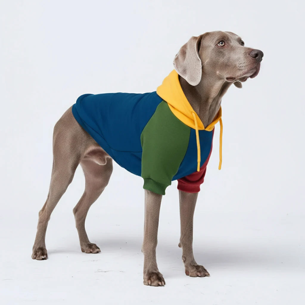 Dog Hoodie Primary Color Block Colorful Soft Cotton Retro Pet Sweatshirt Outfit