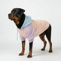 Dog Hoodie Cotton Candy Pastel Pink Blue Purple Soft Cotton Pet Sweatshirt