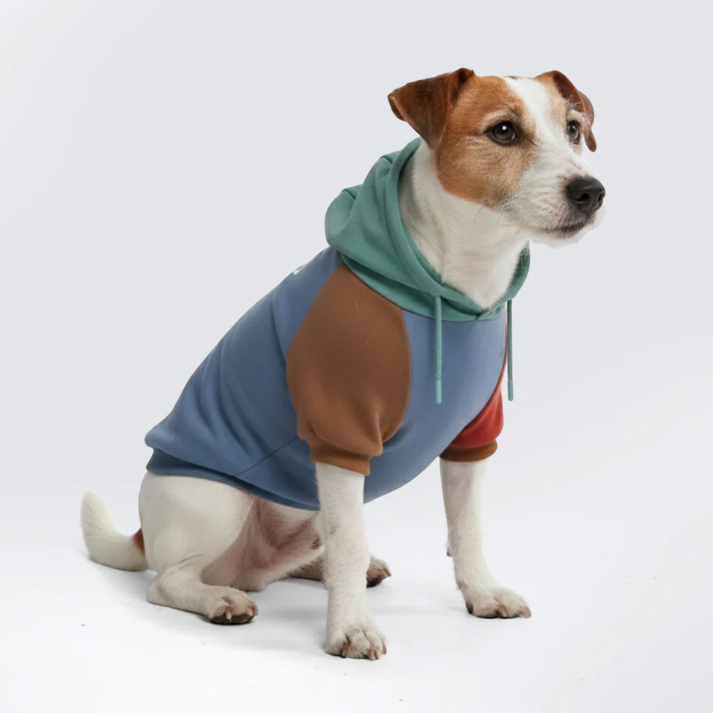 Dog Hoodie Alpine Blue Brown Color Block Soft Cotton Pet Sweatshirt Outfit