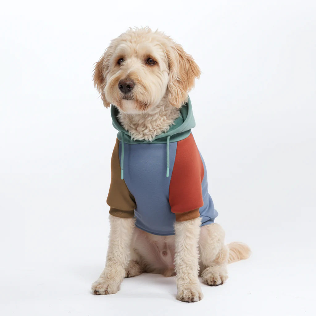 Dog Hoodie Alpine Blue Brown Color Block Soft Cotton Pet Sweatshirt Outfit