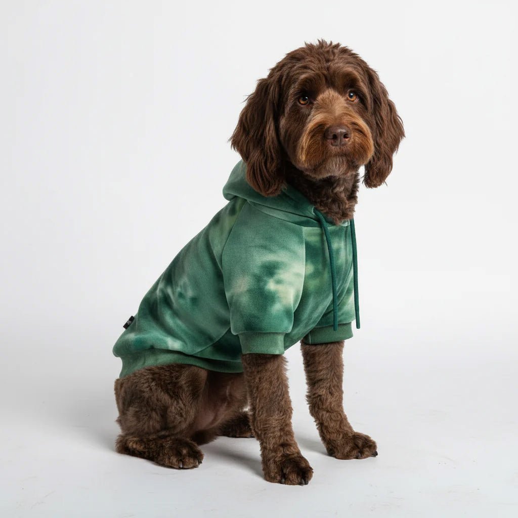 Emerald Green Dog Hoodie Velvet Soft Fleece Luxury Graphic Pet Sweatshirt
