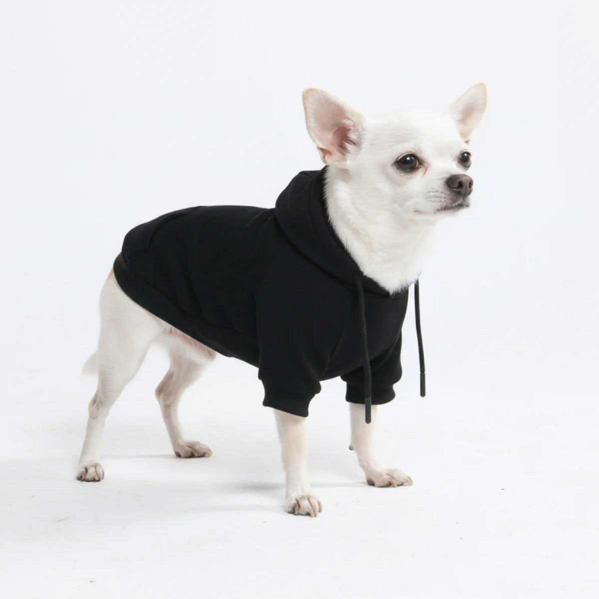 Dog Hoodie Black Reflective Print Soft Cotton Pet Sweatshirt Outfit