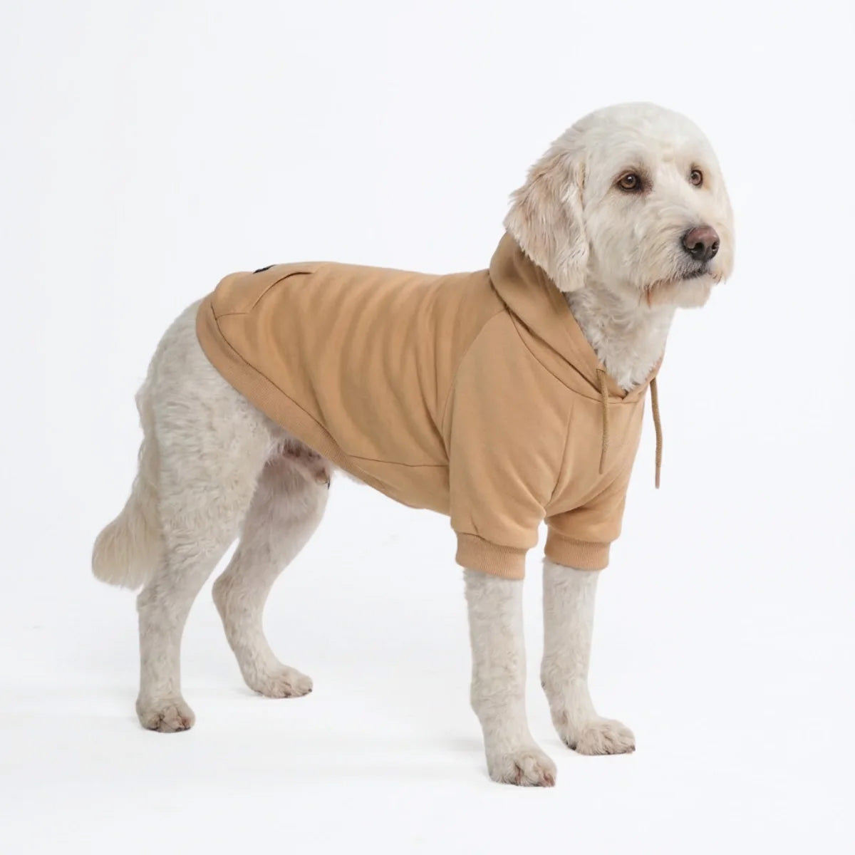 Dog Hoodie Caramel Essential Soft Cotton Fleece Essential Pet Sweatshirt Hooded Outfit
