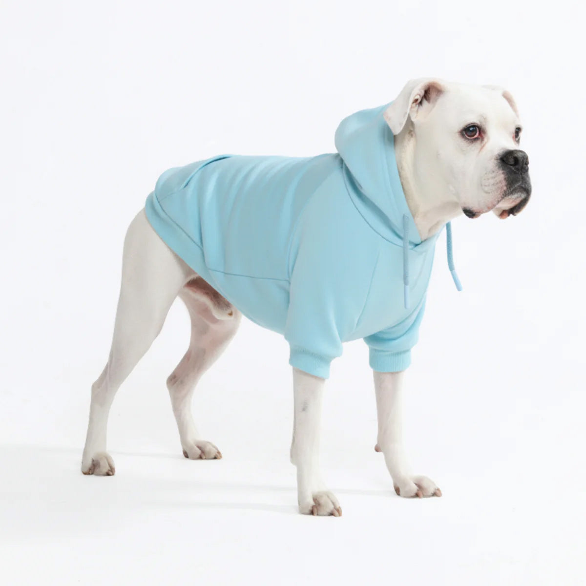 Dog Hoodie Baby Blue Soft Cotton Fleece Essential Pet Sweatshirt Hooded Outfit