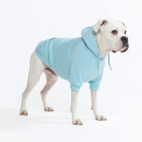Dog Hoodie Baby Blue Soft Cotton Fleece Essential Pet Sweatshirt Hooded Outfit