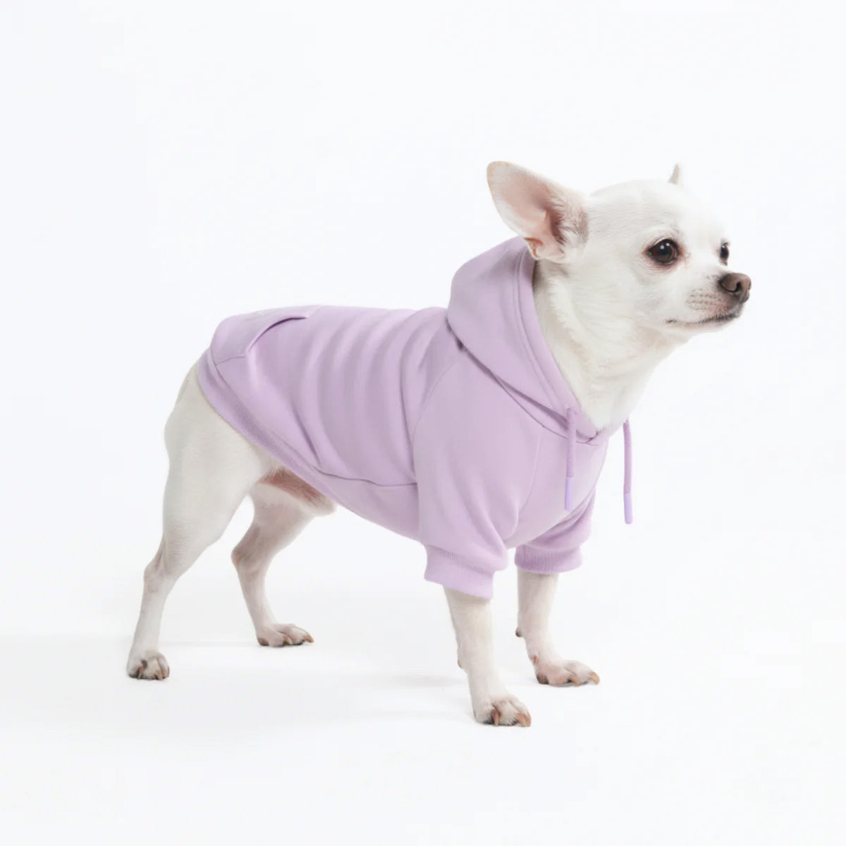 Dog Hoodie Lavender Soft Cotton Fleece Essential Pet Sweatshirt Hooded Outfit
