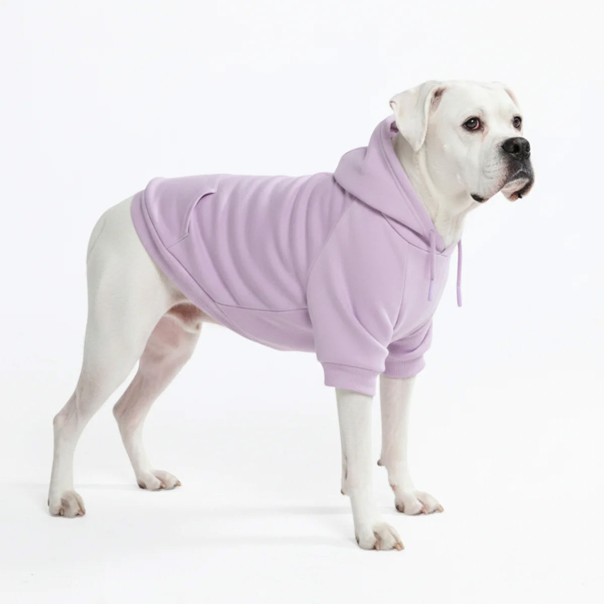 Dog Hoodie Lavender Soft Cotton Fleece Essential Pet Sweatshirt Hooded Outfit