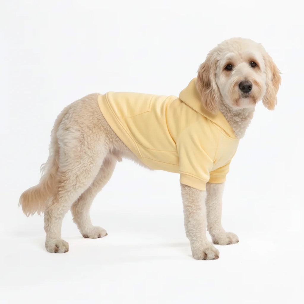 Dog Hoodie Buttercream Soft Cotton Fleece Essential Pet Sweatshirt Outfit