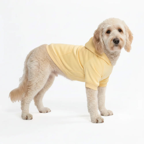 Dog Hoodie Buttercream Soft Cotton Fleece Essential Pet Sweatshirt Outfit