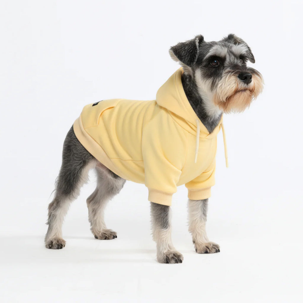 Dog Hoodie Buttercream Soft Cotton Fleece Essential Pet Sweatshirt Outfit