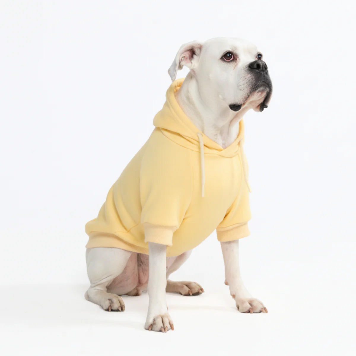 Dog Hoodie Buttercream Soft Cotton Fleece Essential Pet Sweatshirt Outfit