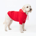 Dog Hoodie Crimson Red Soft Cotton Fleece Essential Pet Sweatshirt Outfit