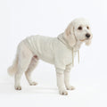 Dog Hoodie Oatmeal Heather Soft Cotton Fleece Essential Pet Sweatshirt Outfit