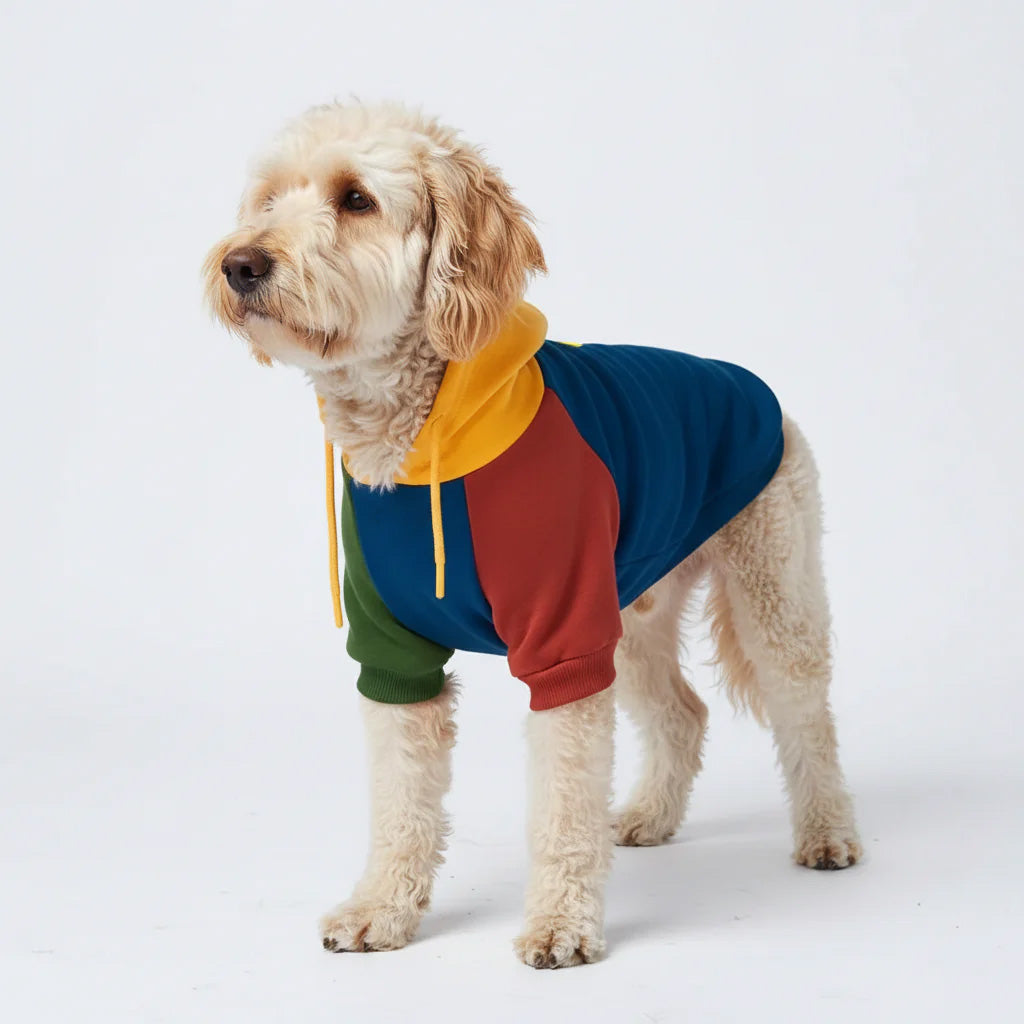 Dog Hoodie Primary Color Block Colorful Soft Cotton Retro Pet Sweatshirt Outfit